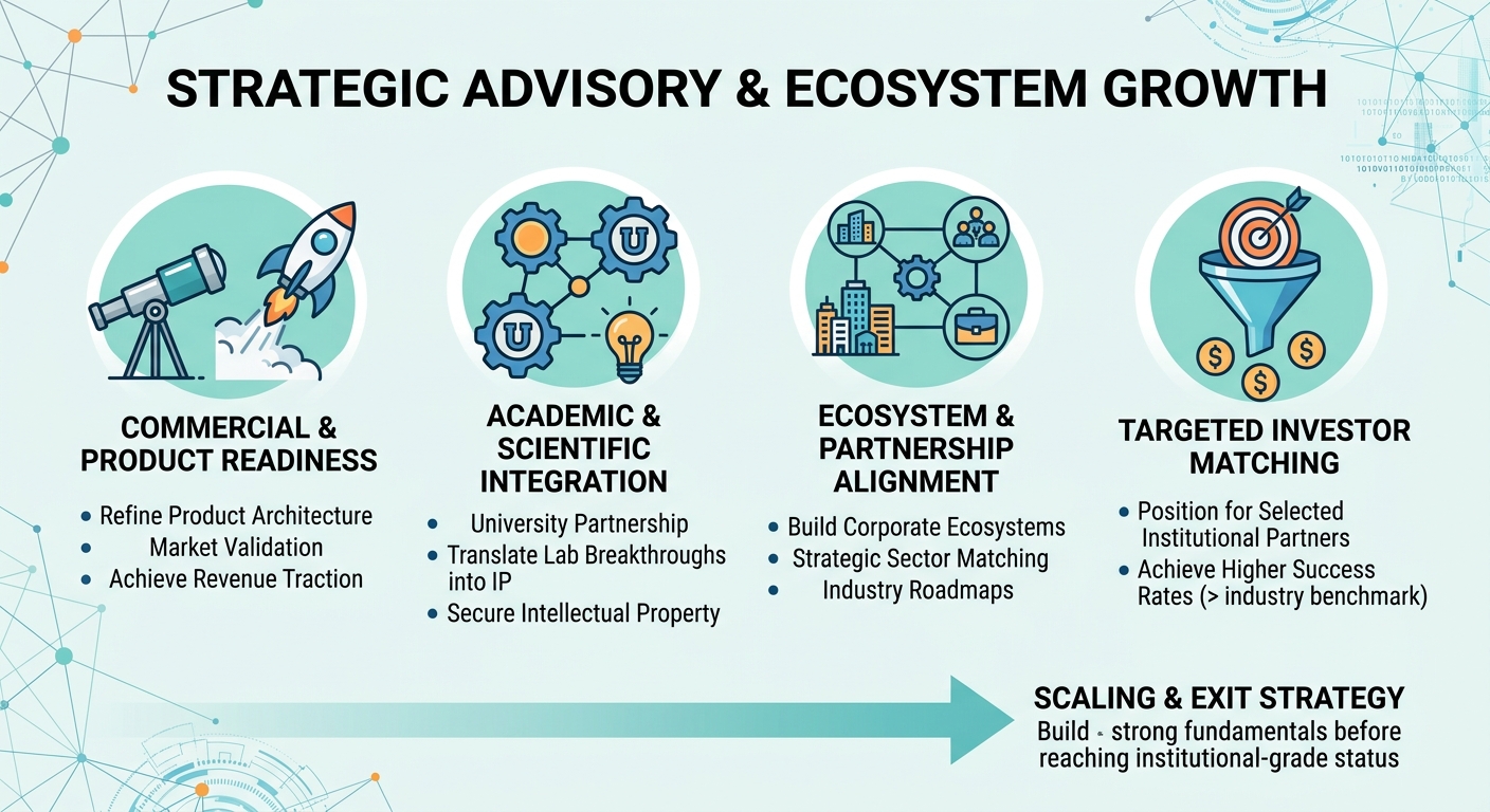 Strategic Advisory Beyond Traditional Venture Capital for Scale-Ups and Research Spin-Outs Egypt